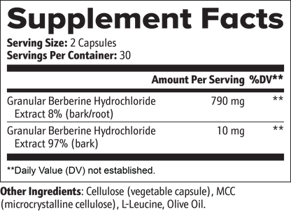 Berberine Capsules — The Advanced Metabolic Optimizer for Healthy Cholesterol & Gut Flora
